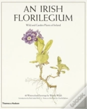 Capa do artigo Irish Florilegium