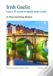 Capa do artigo Irish Gaelic - Learn 35 Words To Speak Irish Gaelic