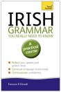 Irish Grammar You Really Need To Know: Teach Yourself - Preview