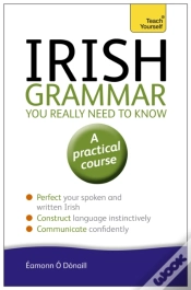 Capa do artigo Irish Grammar You Really Need To Know: Teach Yourself