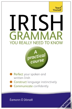 Capa do artigo Irish Grammar You Really Need To Know: Teach Yourself