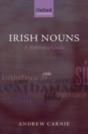 Irish Nouns - Preview