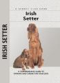 Irish Setter - Preview