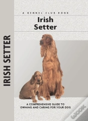 Capa do artigo Irish Setter