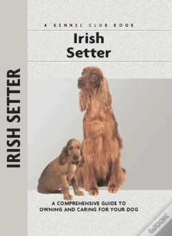 Capa do artigo Irish Setter