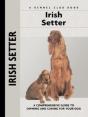 Irish Setter - Preview