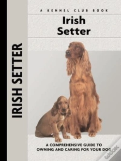Capa do artigo Irish Setter