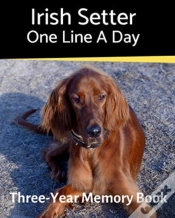 Capa do artigo Irish Setter - One Line A Day: A Three-Y