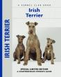 Irish Terrier - Preview