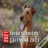 Irish Terriers Calendar 2021