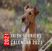 Capa do artigo Irish Terriers Calendar 2021