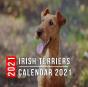 Irish Terriers Calendar 2021 - Preview