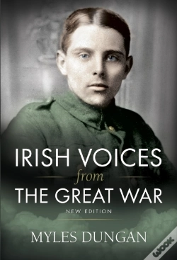 Capa do artigo Irish Voices From The Great War