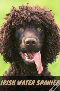 Capa do artigo Irish Water Spaniel