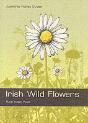 Irish Wild Flowers - Preview
