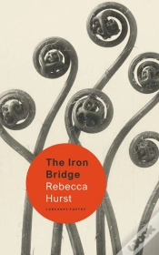 Capa do artigo Iron Bridge
