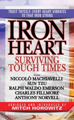 Capa do artigo Iron Heart