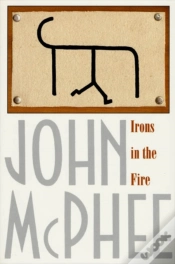 Capa do artigo Irons In The Fire