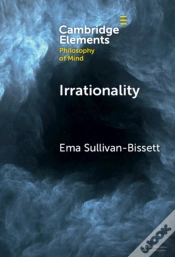 Capa do artigo Irrationality