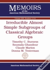 Irreducible Almost Simple Subgroups Of Classical Algebraic Groups
