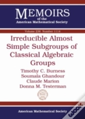 Capa do artigo Irreducible Almost Simple Subgroups Of Classical Algebraic Groups