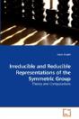 Irreducible And Reducible Representation - Preview