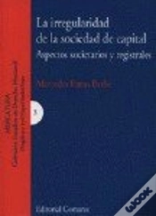 Capa do artigo Irregularidad De La Sociedad De