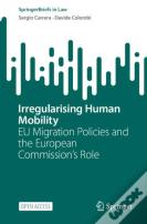 Irregularising Human Mobility
