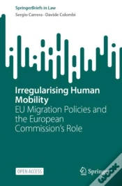 Capa do artigo Irregularising Human Mobility