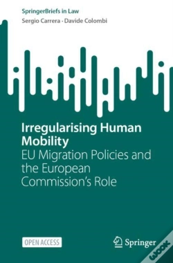 Capa do artigo Irregularising Human Mobility