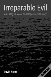 Capa do artigo Irreparable Evil