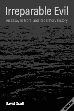 Capa do artigo Irreparable Evil