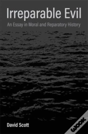 Capa do artigo Irreparable Evil