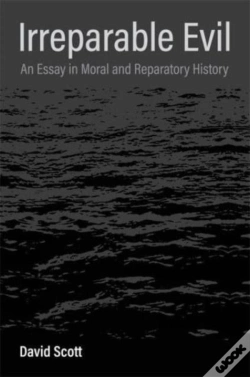 Capa do artigo Irreparable Evil