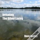 Irritating The Silver Lining