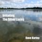 Irritating The Silver Lining - Preview