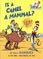 Is A Camel A Mammal? - Preview