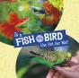 Is A Fish Or A Bird The Pet For Me? - Preview