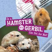 Is A Hamster Or A Gerbil The Pet For Me?