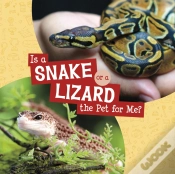 Capa do artigo Is A Snake Or A Lizard The Pet For Me?