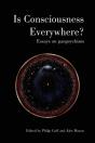 Is Consciousness Everywhere? - Preview