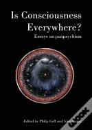 Is Consciousness Everywhere?