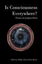Is Consciousness Everywhere? - Preview