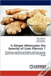 Is Ginger Attenuates The Severity Of Liver Fibrosis ?