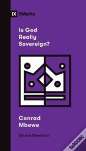 Capa do artigo Is God Really Sovereign?