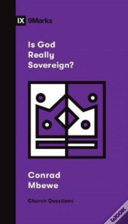 Capa do artigo Is God Really Sovereign?