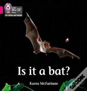 Is It A Bat?