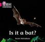 Is It A Bat? - Preview