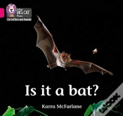 Capa do artigo Is It A Bat?