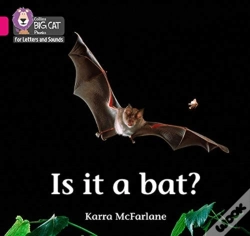Capa do artigo Is It A Bat?